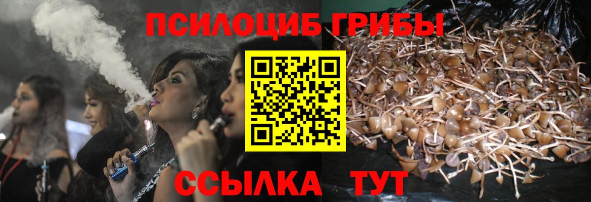 Галлюциногенные грибы ЛСД  Псилоцибиновые грибы ЛСД  Тобольск  Вход с VPN 